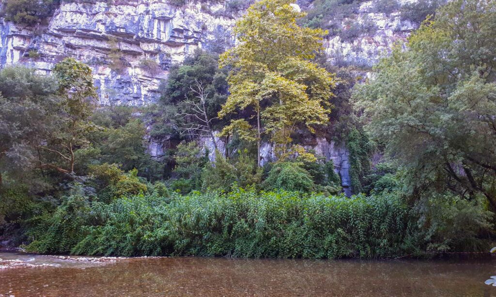 Au bord du Loup